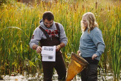 students taking samples from pond